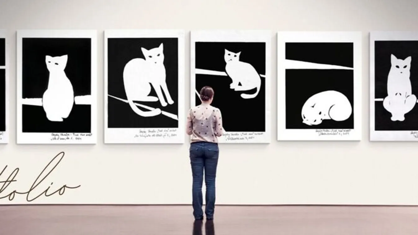 Nemcsak menti, festi is a leukémiás cicákat