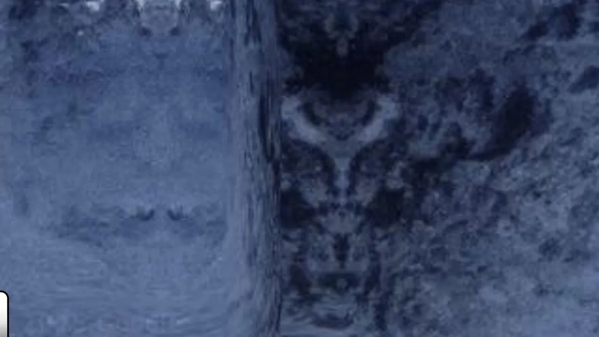 A Google Térképen talált rejtélyes arc újraindított az UFO-bázisok teóriáit.