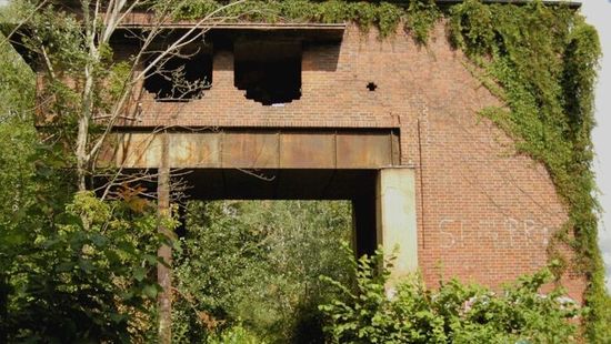 Apokaliptikus hangulat: Így néz ki most az elhagyatott, németországi vasútvonal - Urbex