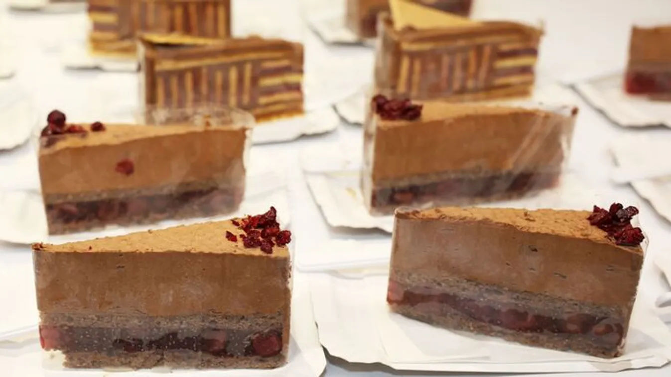 Megvágták az ország tortáját - Fotók