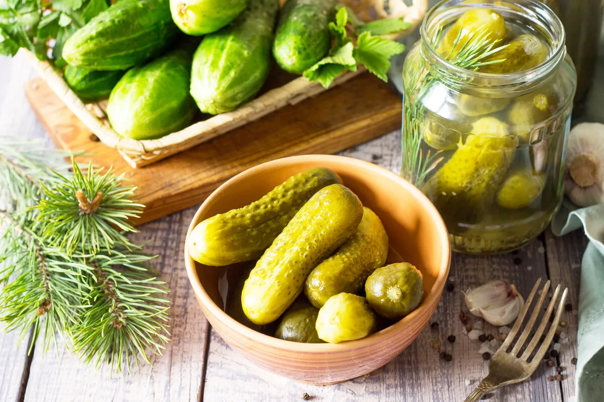 Uborka Marinated,Cucumbers,Gherkins.,Pickles,With,Fir,Branch,On,The,Kitchen