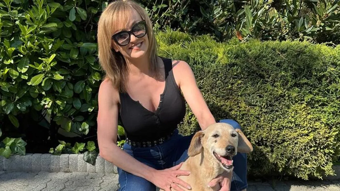 Könnyek között küzdöttek a sztárok kedvenceikért