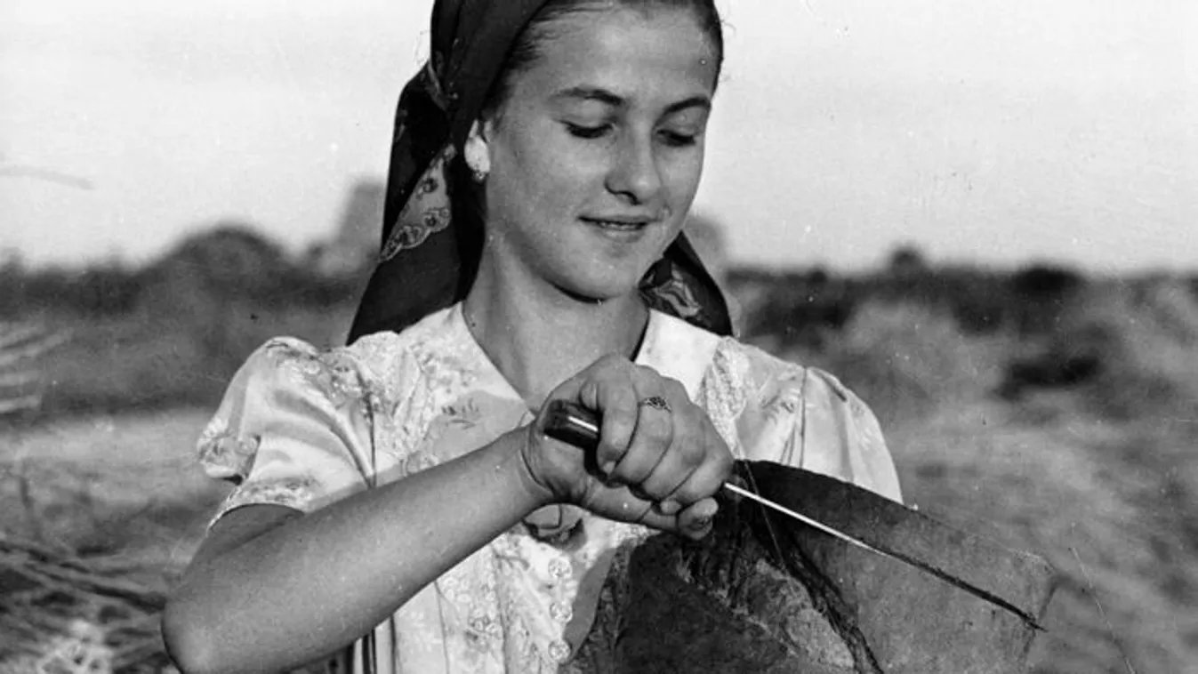 Új kenyér ünnepe – augusztus 20-a régen