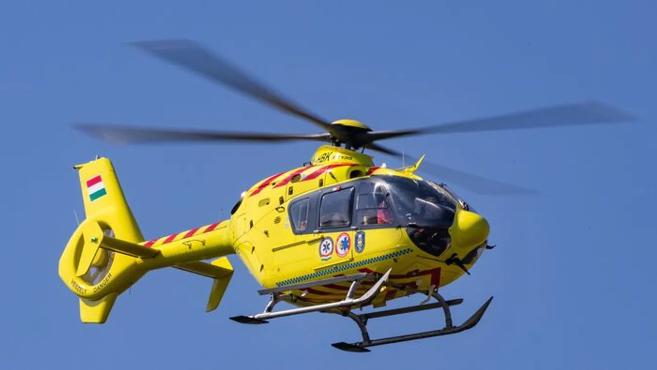 Szívbeteg kislányt ért életveszélyes kutyatámadás Kemecsén