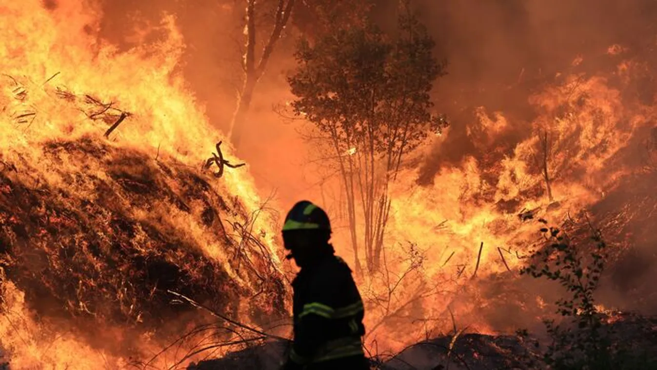Pusztító erdőtüzek Portugáliában: négy tűzoltó halt már meg