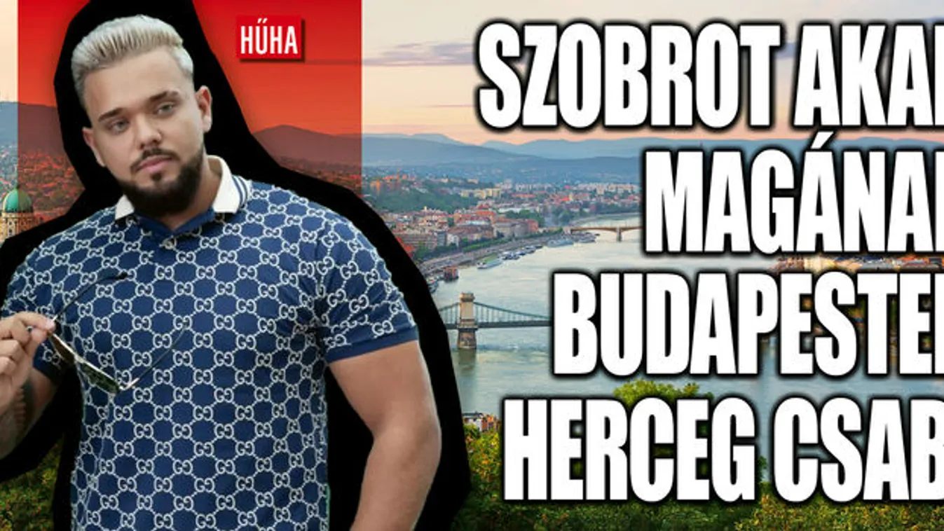 Herceg Csabi szobrot állíttatna magáról
