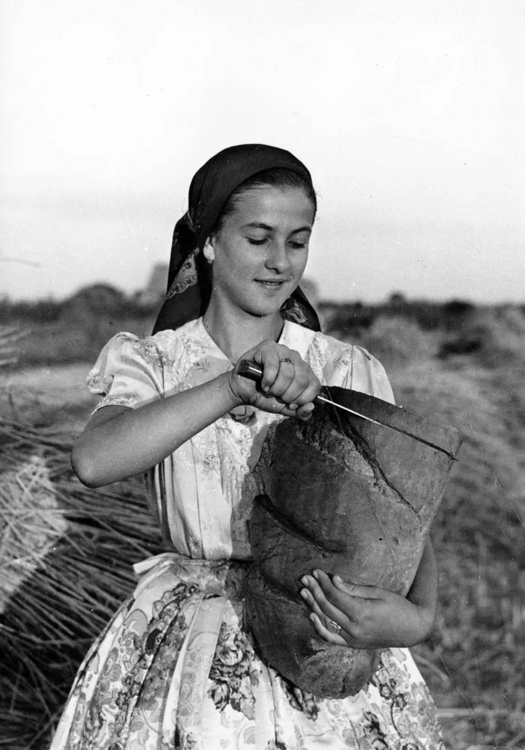 kenyér, aratás, ünnep 