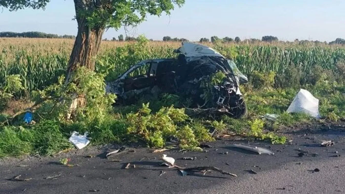  Eltemették Norbit, szívszaggató módon köszöntek el tőle