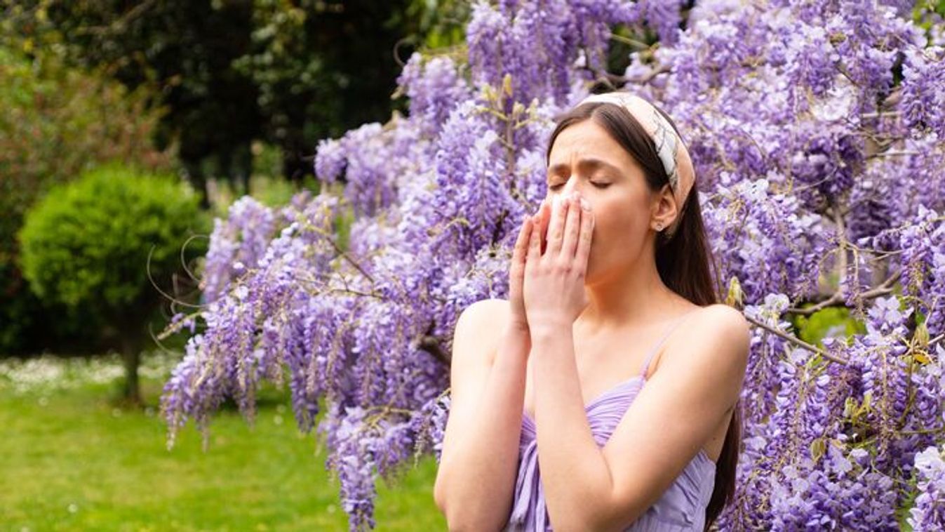Vigyázz: 5 kerti virág, ami allergiát okozhat!