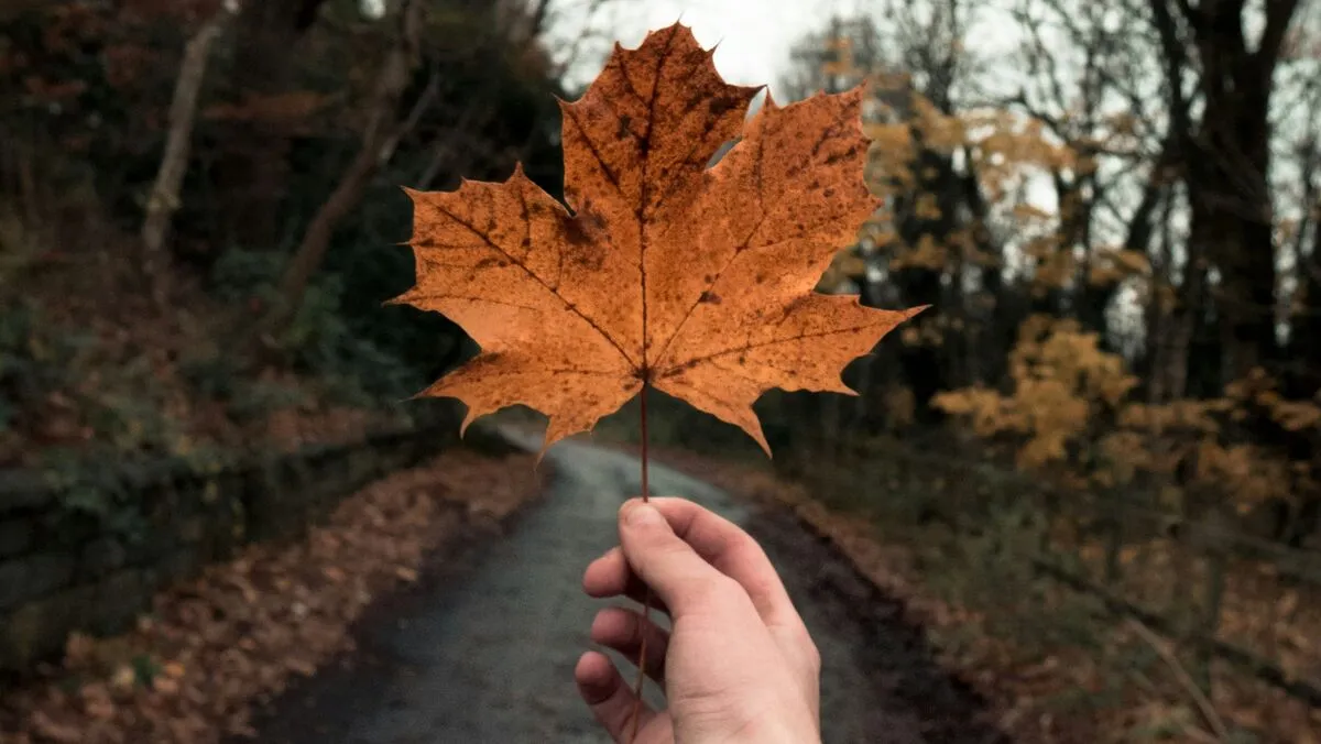 Csapadékos időre lehet számítani a hétvégére
