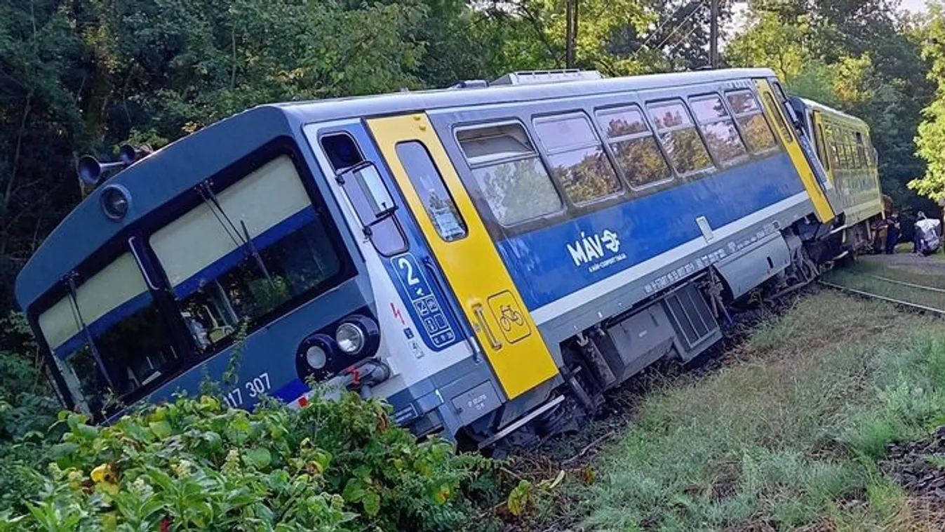 Kisiklott egy vonat Magyarországon, egy utas megsérült