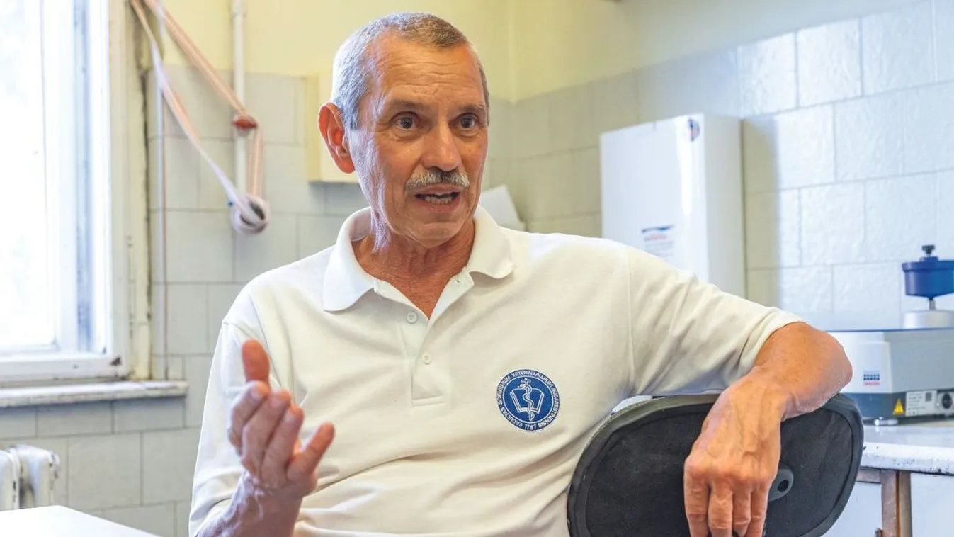 Járványszezon előtt: mire számít a virológus?