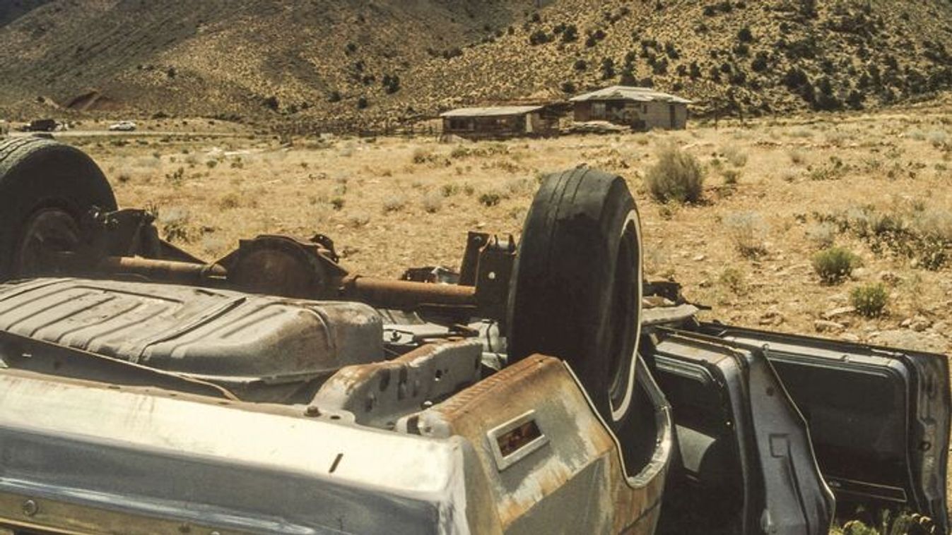 Döbbenetes: sérült kenguru okozta az ápolónők halálát