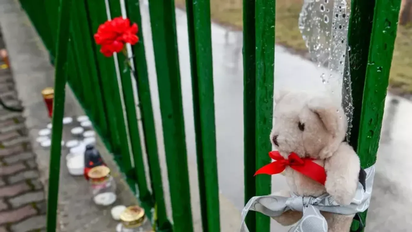 Mogyoróallergiában elhunyt kisfiú: Elítélték a tanárnőt