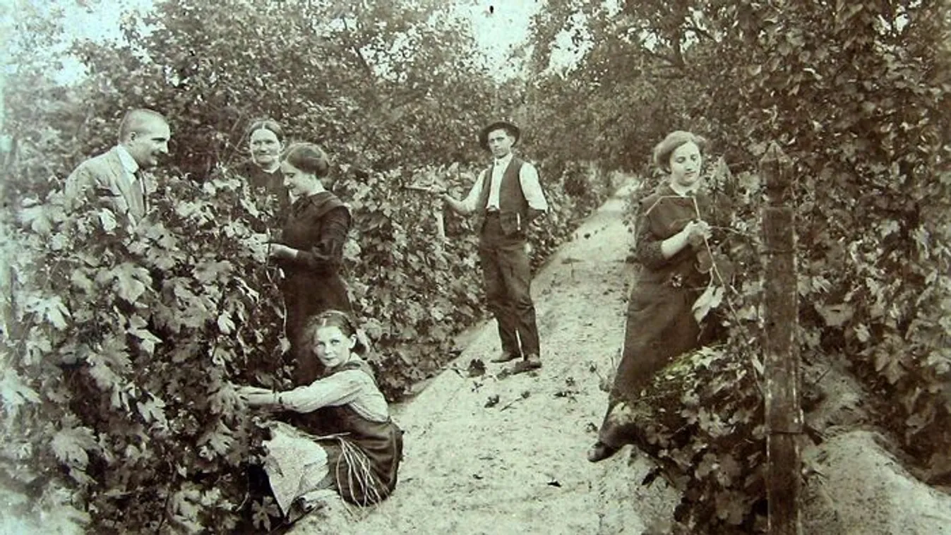 A szüret régen is összehozta az embereket – Galéria