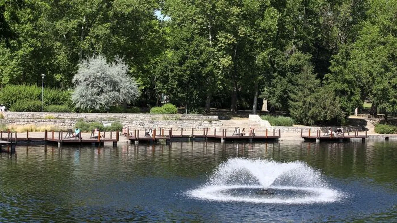 Kutatók éjszakája - Flashmobok, tudományos előadások