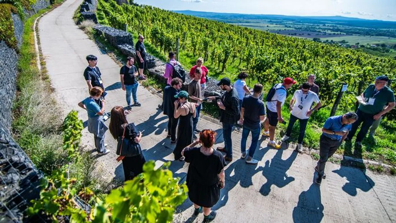 Hatalmas siker volt a BOR2025 Hungarian Wine Summit