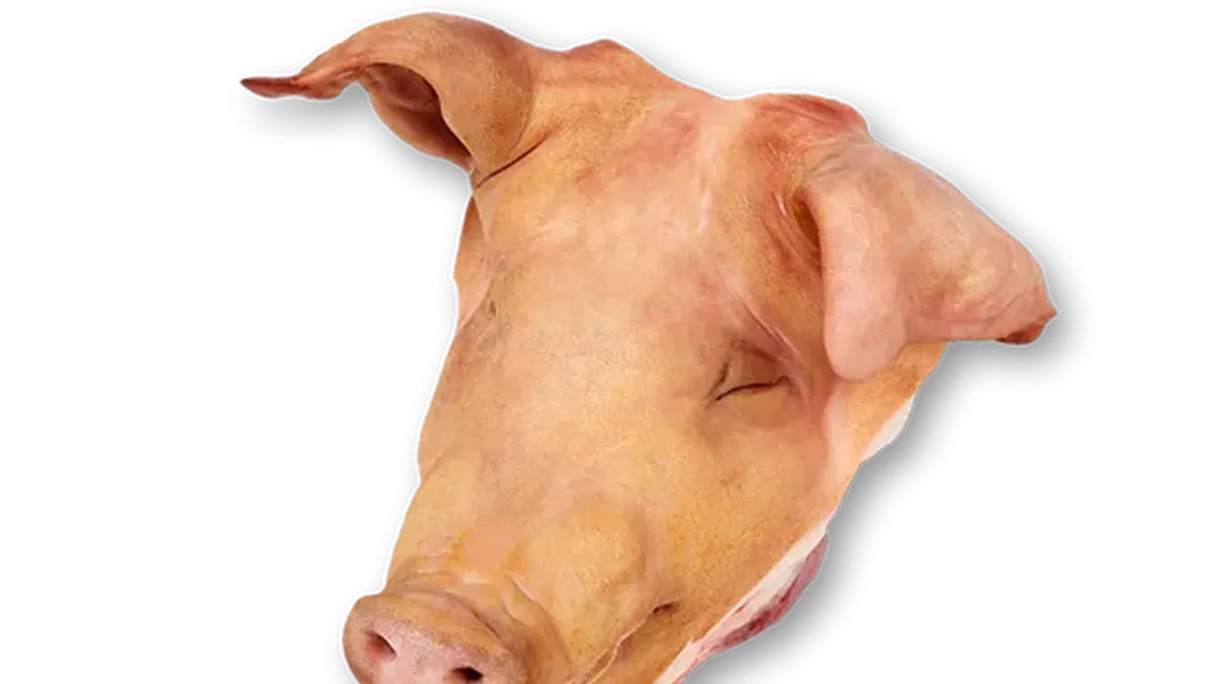 Macron feliratú disznófejet tettek egy párizsi mecset elé