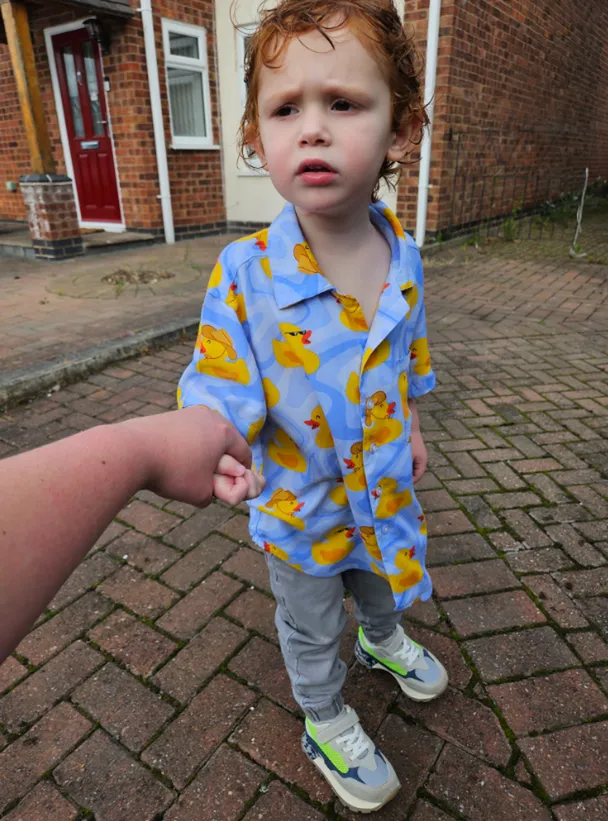 mesterséges megtermékenyítés