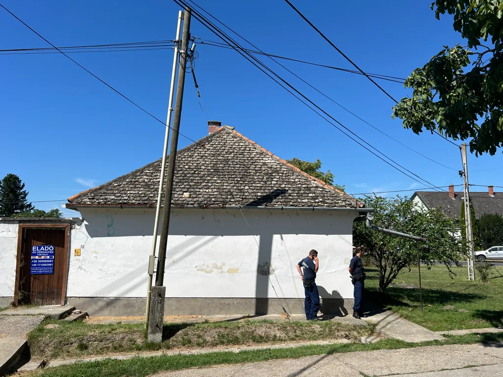 Gyerek gyilkosság / Miske