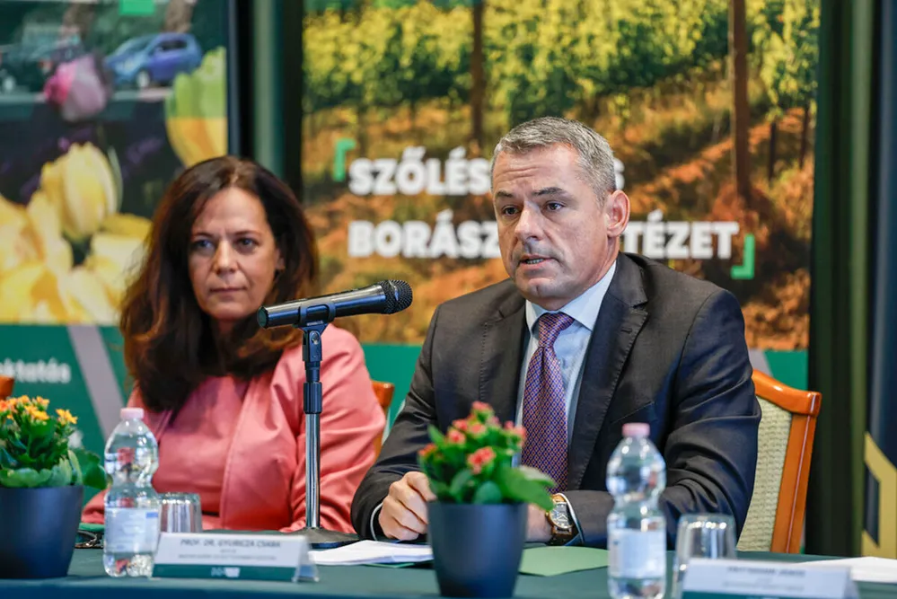 szőlész és borász