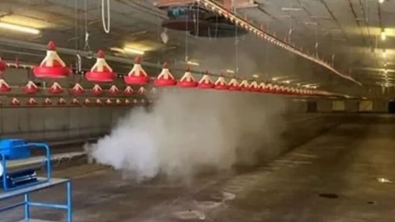 Megoldás a kórokozók ellen, ami kíméletes emberre, állatra