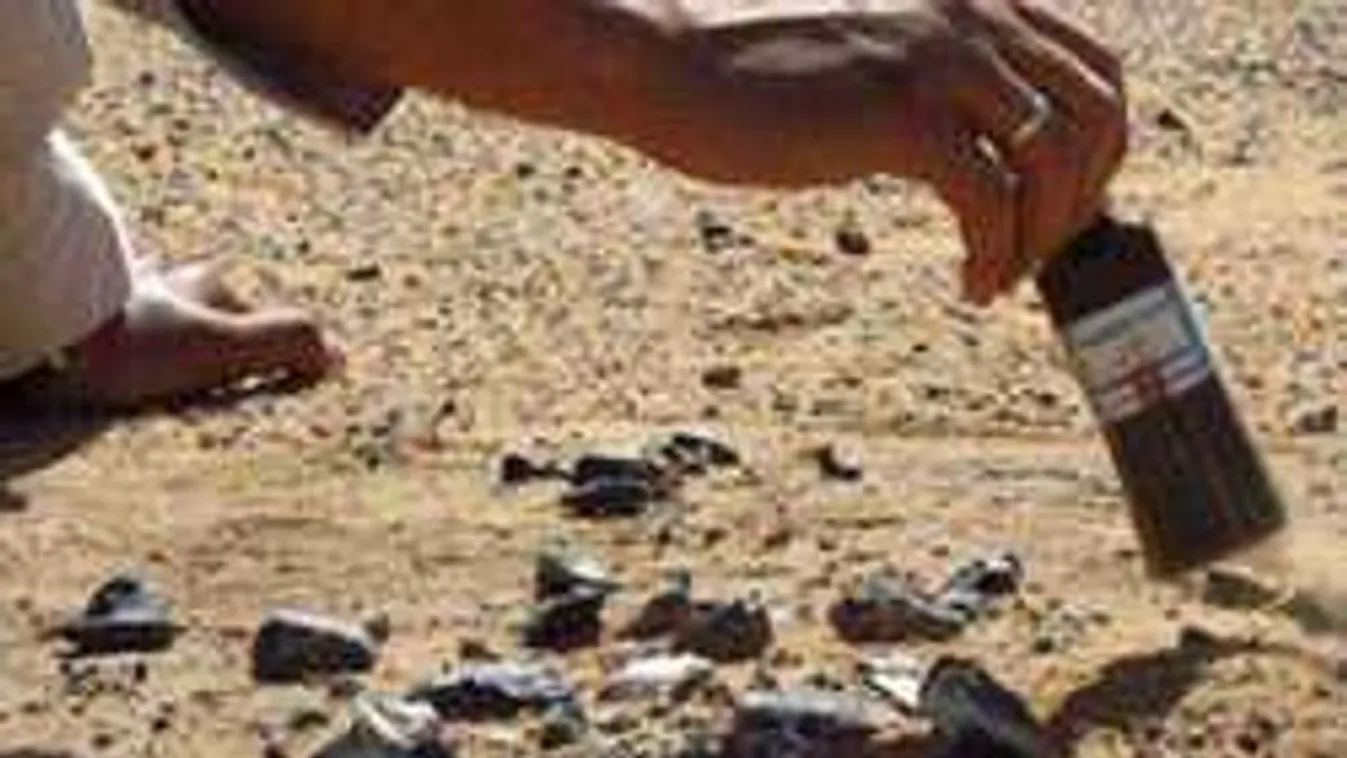 A tudósokat megdöbbentette a barlang falában talált koponya