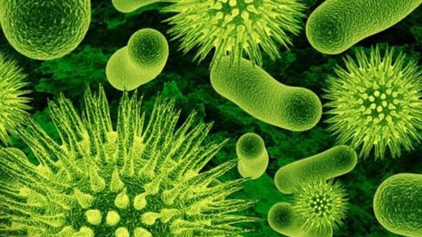 „Hihetetlen fájdalom” – húsevő baktérium támadta meg a nőt