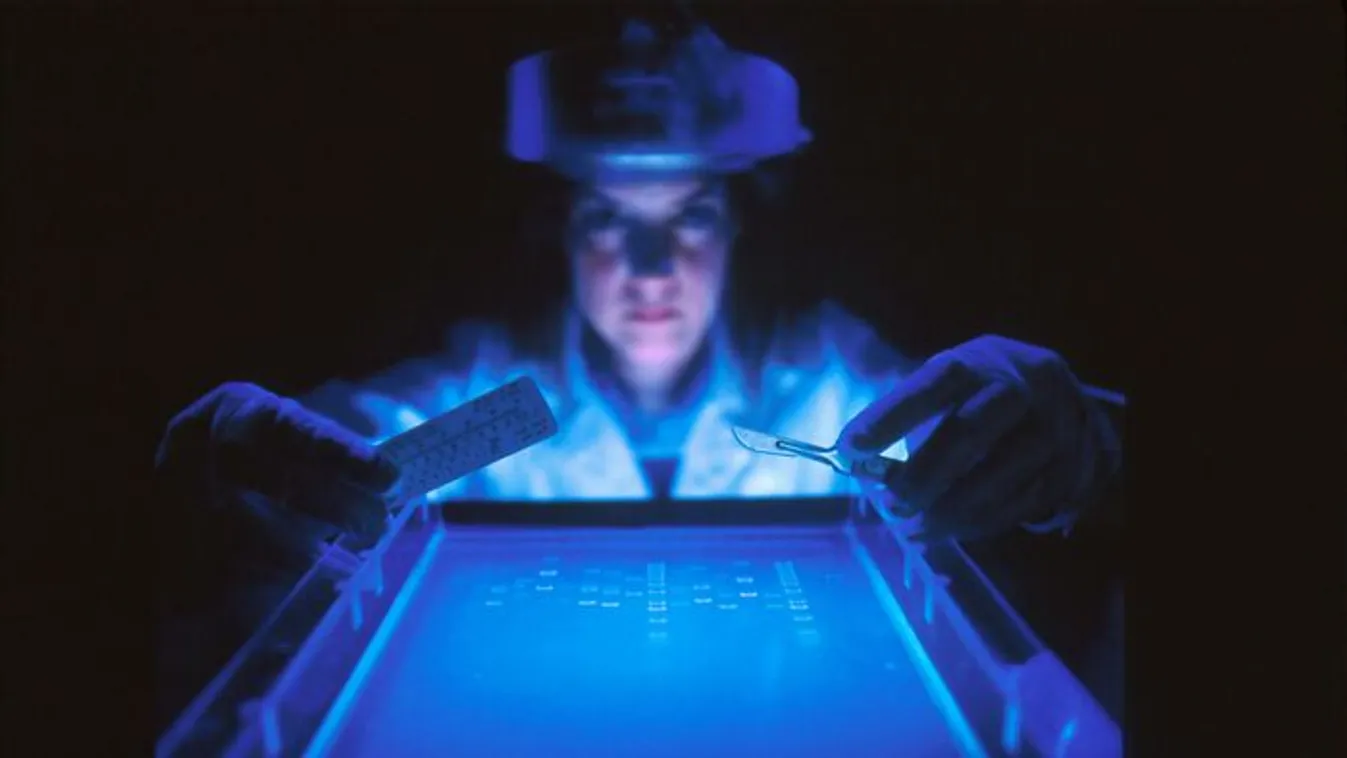 DNS-teszt vezetett egy elveszett testvérhez