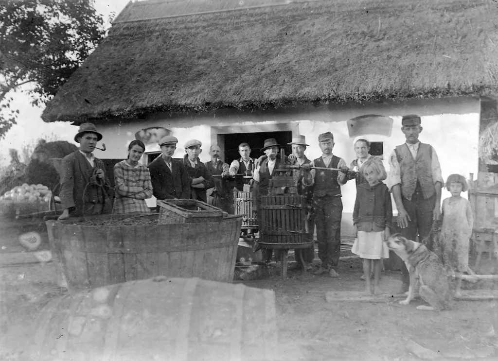 Az egész család kivette a részét a szüreti munkálatokban 1930