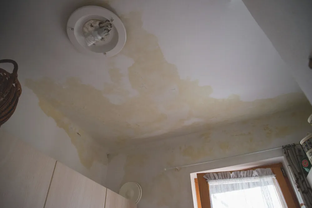 dugonics_ter_beazas010