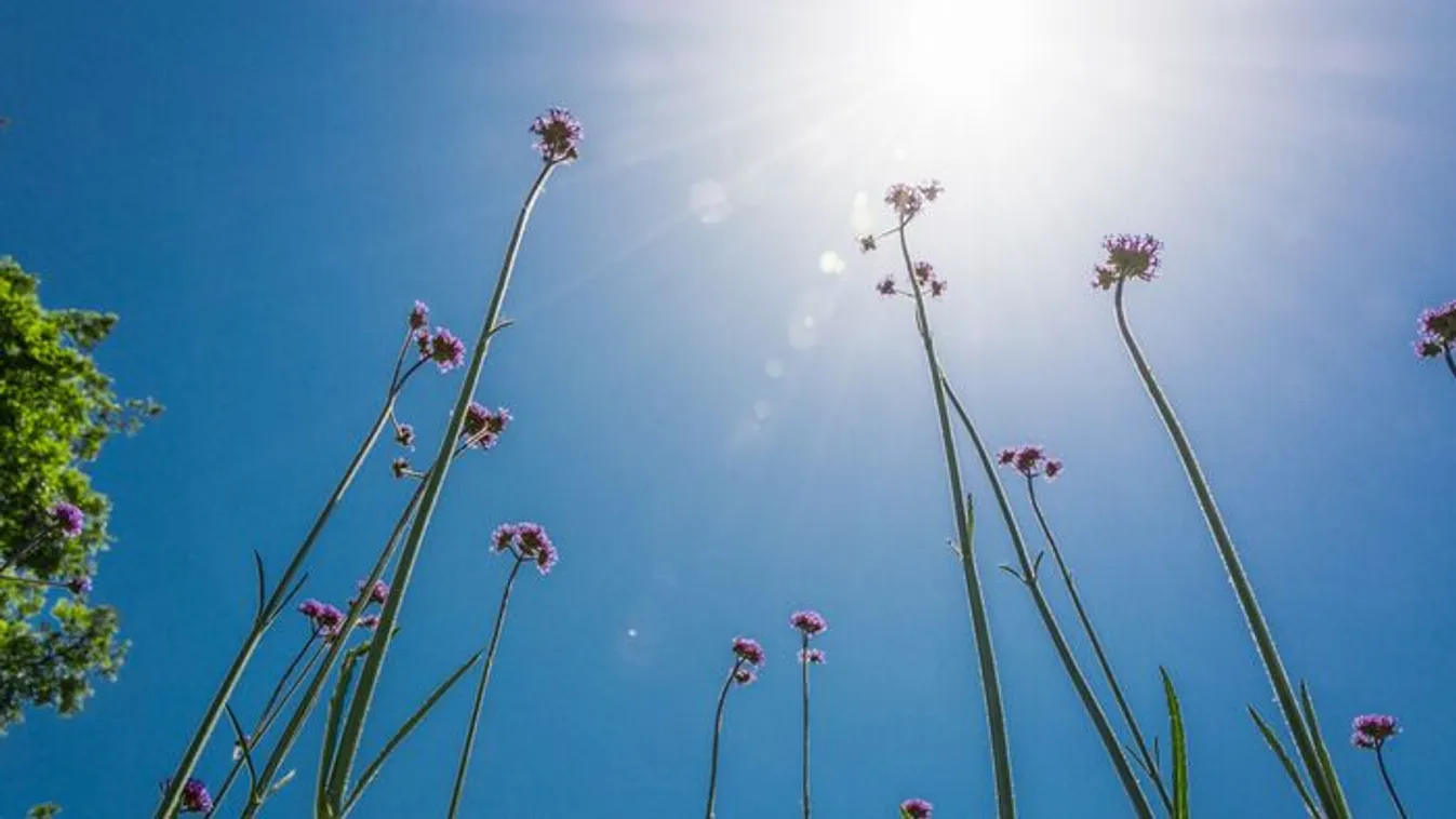 Esővel és meleggel zúdul ránk a tavasz