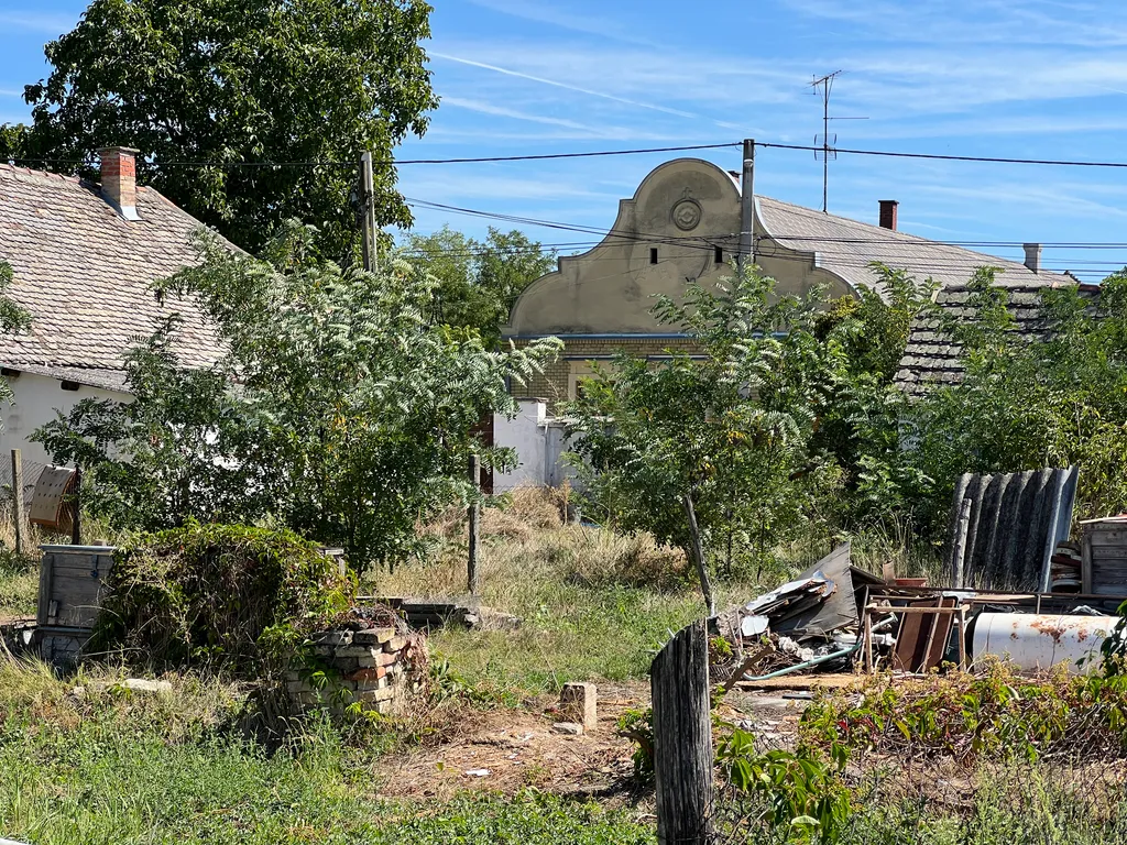 Gyerek gyilkosság / Miske