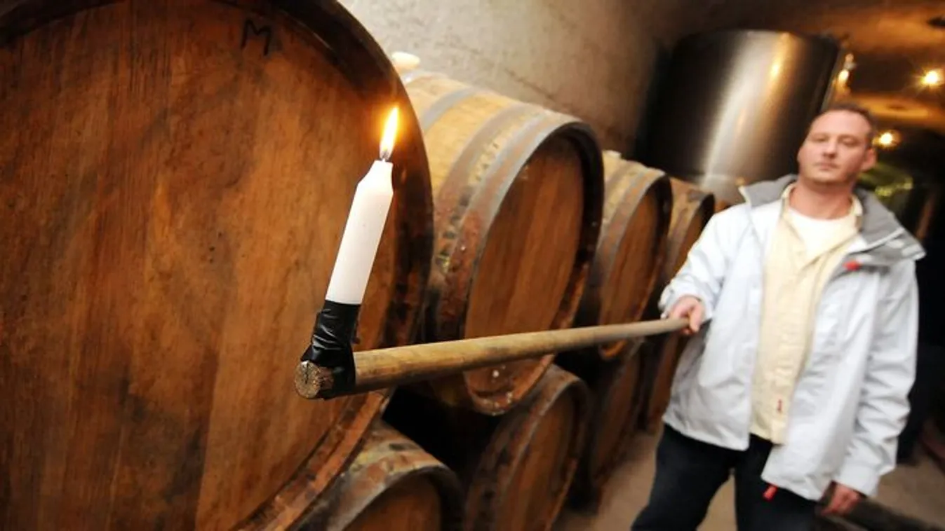 Láthatatlan gyilkos a pincében: így ölhet a mustgáz