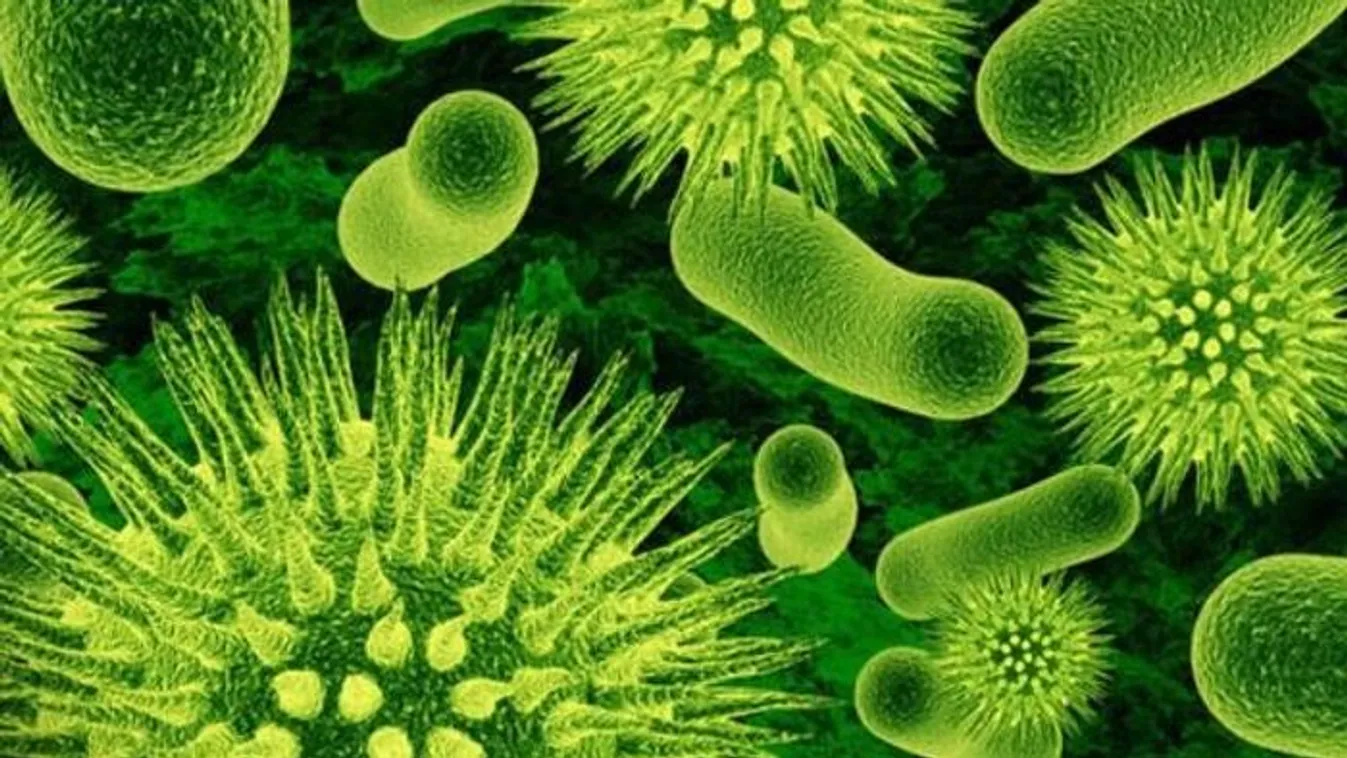 „Hihetetlen fájdalom” – húsevő baktérium támadta meg a nőt