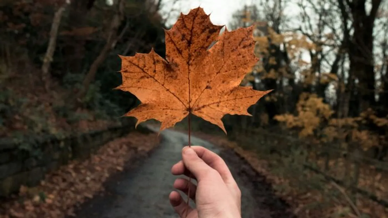 Beköszönt az ősz, hűvös napok jönnek