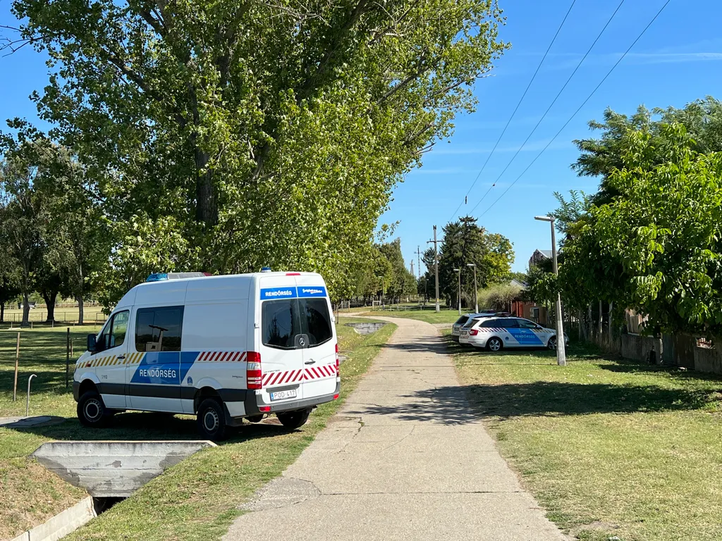 Gyerek gyilkosság / Miske