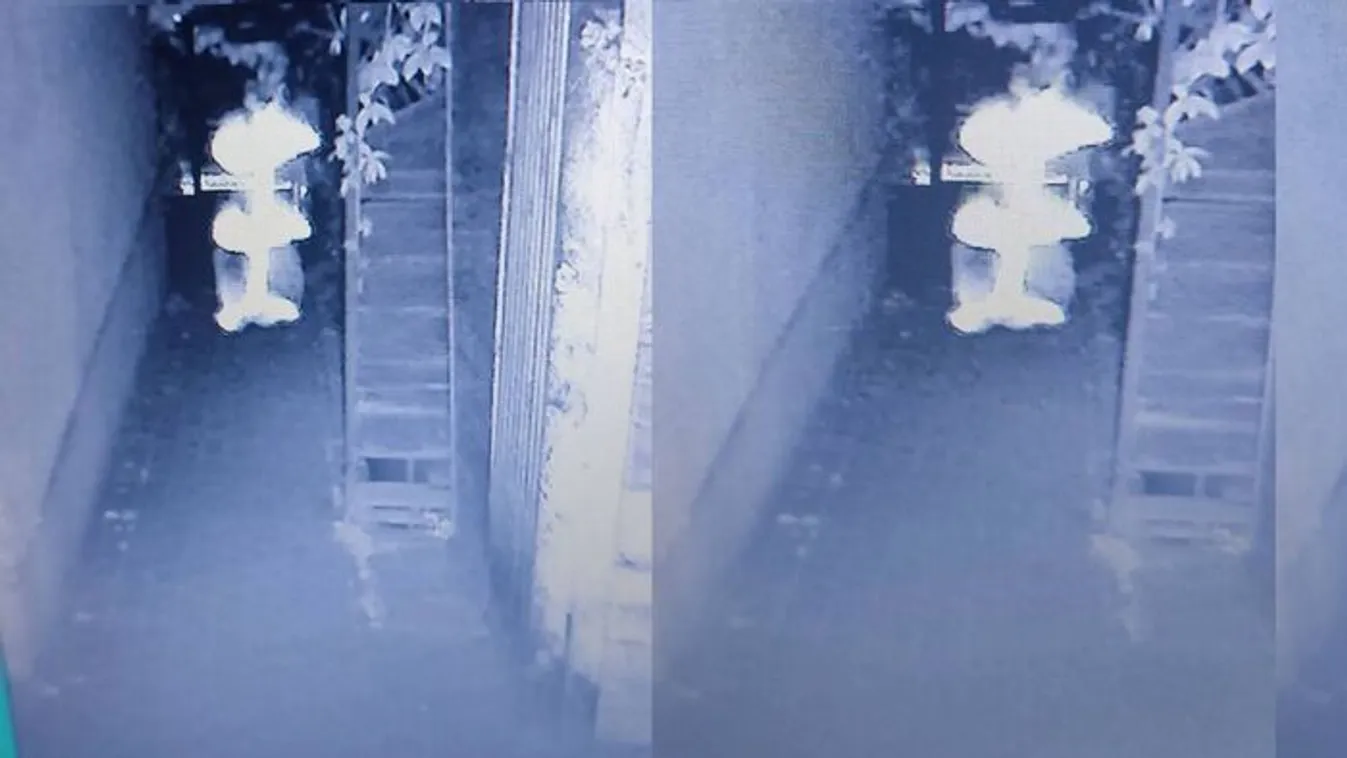 Egy kóbor lélek szállt el a térfigyelő kamerája előtt