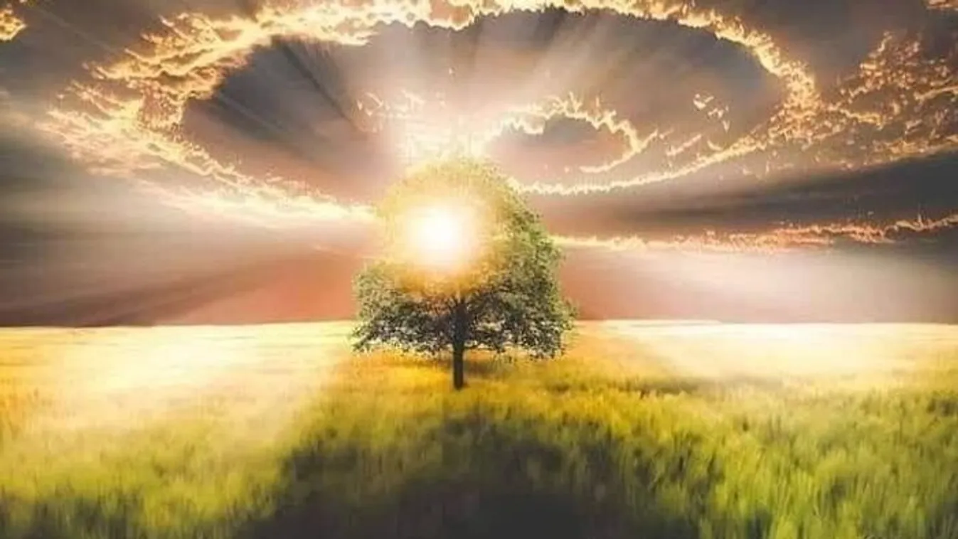 A váci kislány "angyal" ikertesóival beszélget