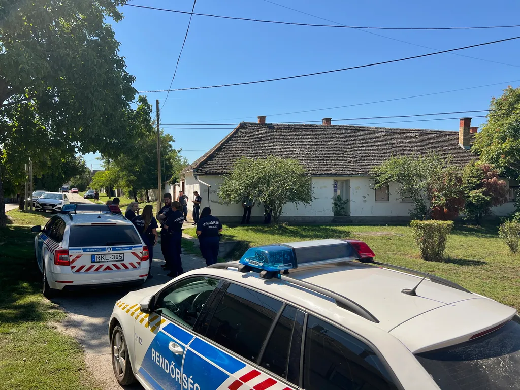 Gyerek gyilkosság / Miske