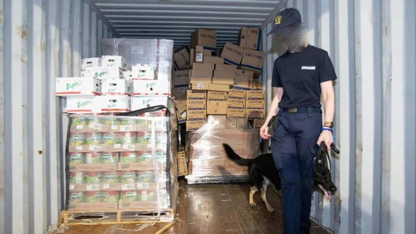 Országos vizsgálóbíró: Belgium narkó-állammá válik