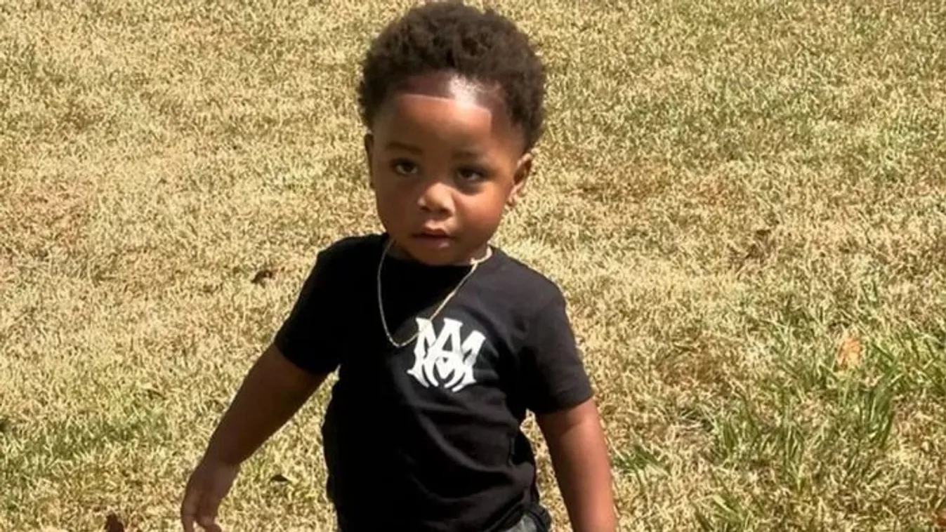 Borzalmas kutyatámadás történt: meghalt egy 2 éves kisfiú