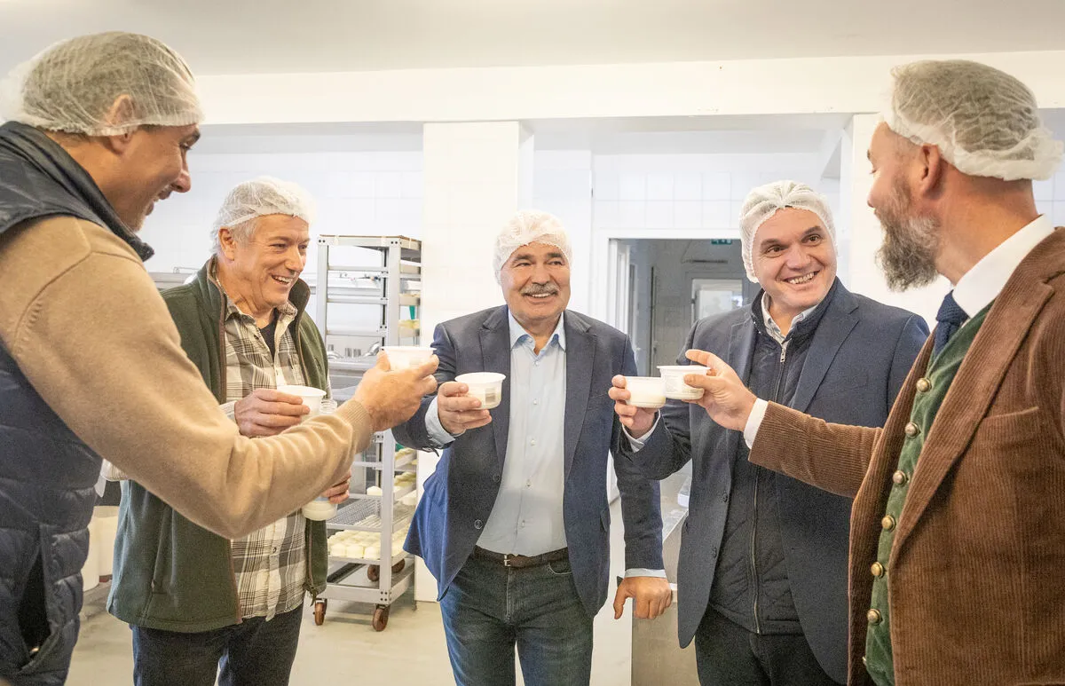 digitális polgári kör