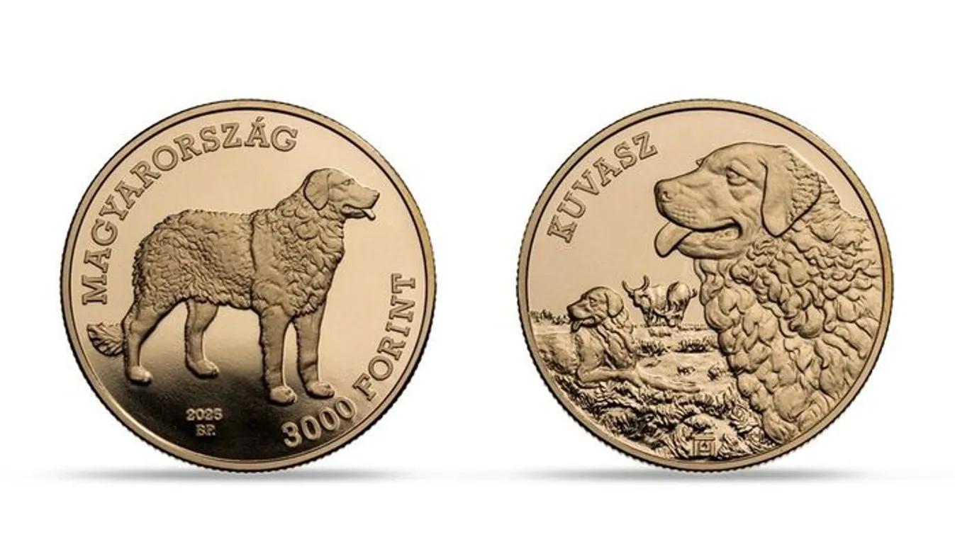 Újra sláger befektetések az érmék