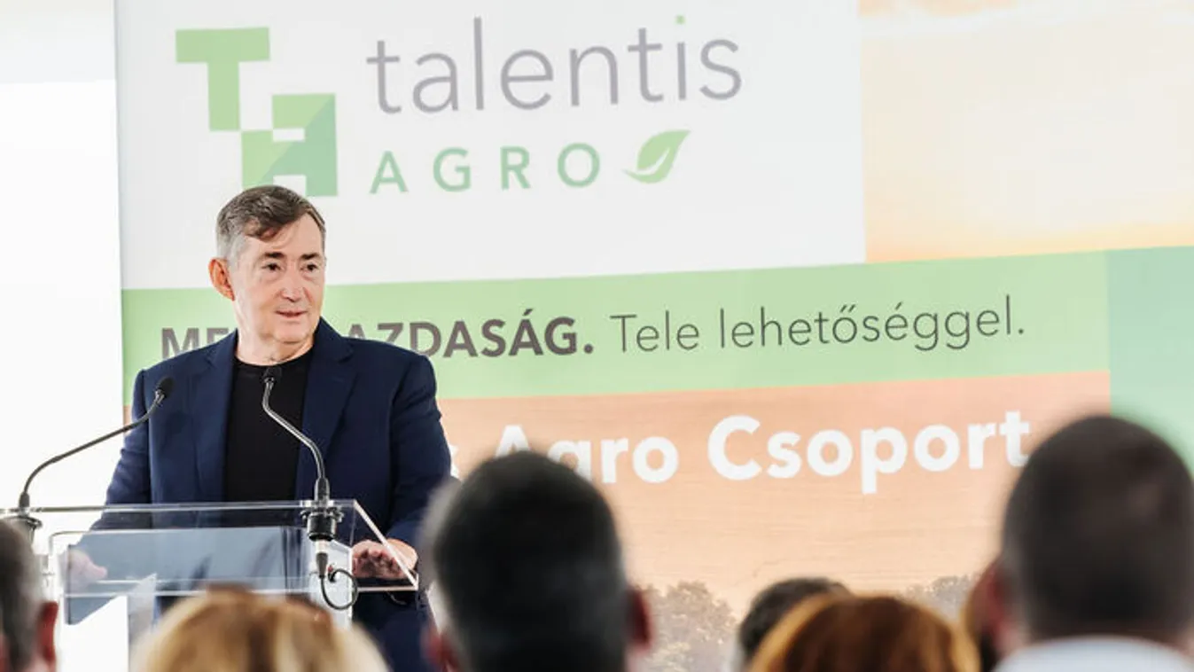 Kiderült: ekkora támogatást nyújt évente a Mészáros Csoport