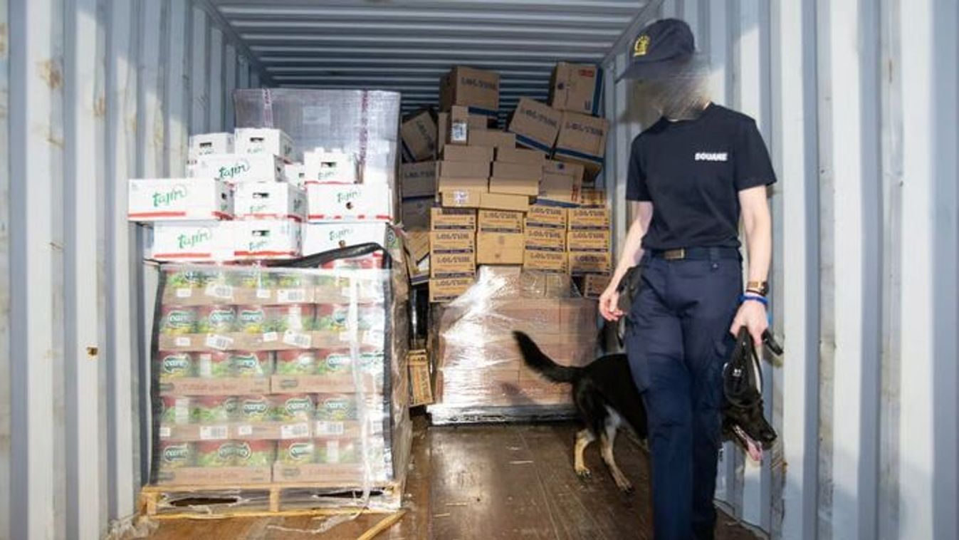 Országos vizsgálóbíró: Belgium narkó-állammá válik