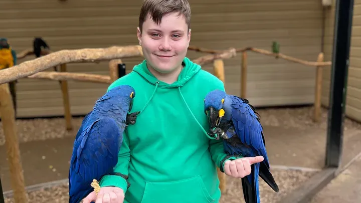 a fiú ritka betegsége az állatai miatt alakult ki