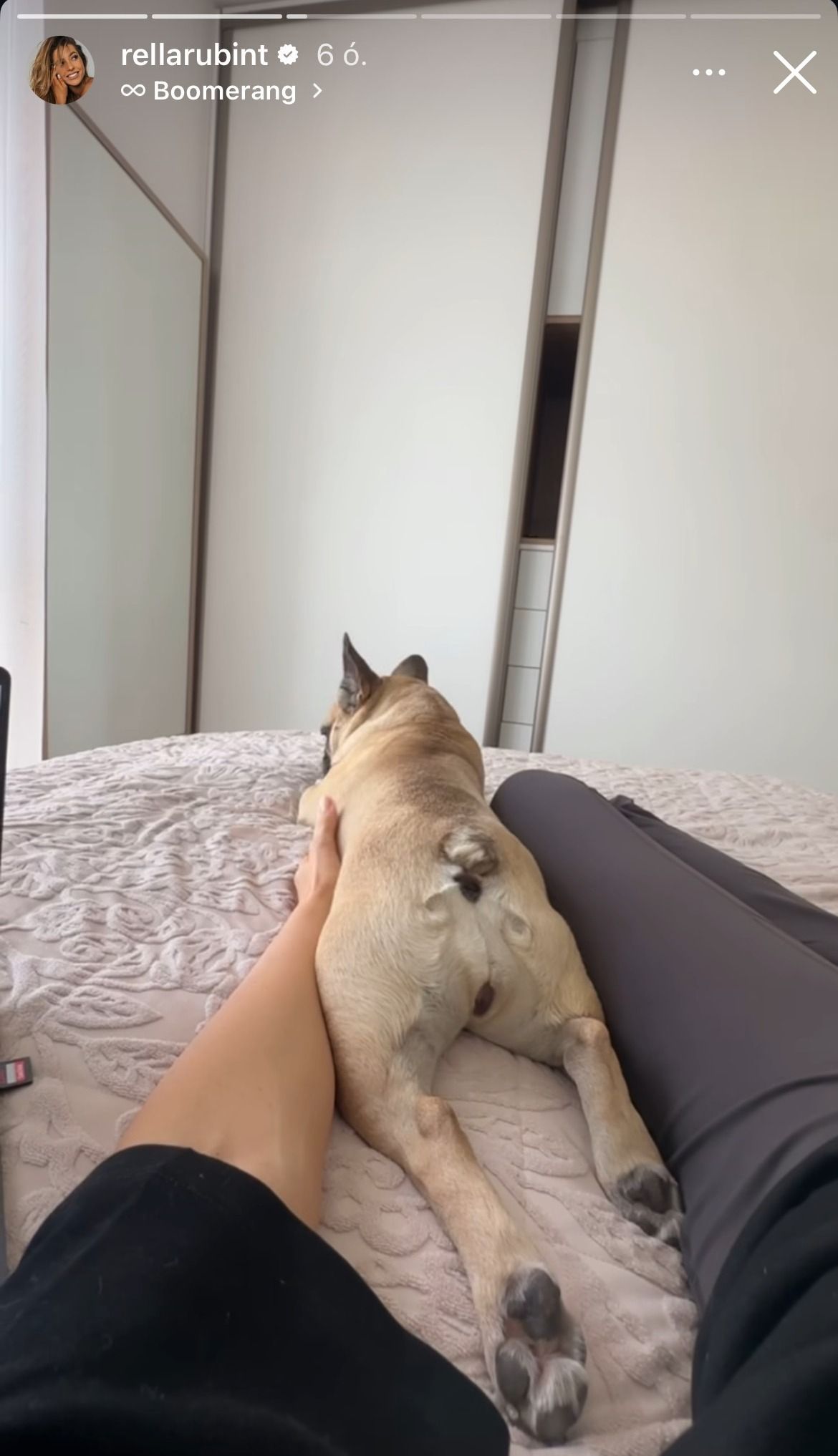 Rubint Rella kutyusa