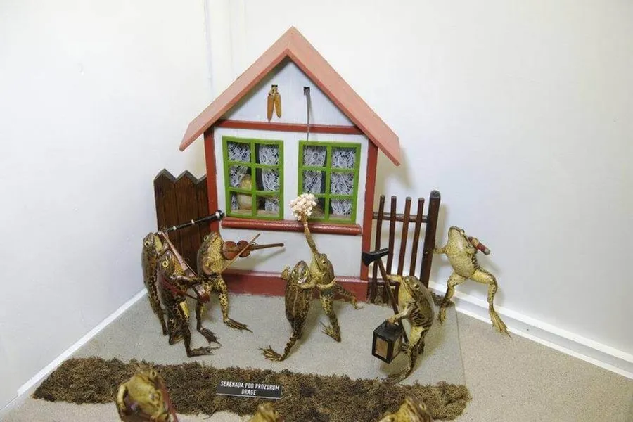 magyar művész munlái a békamúzeum tárlatában