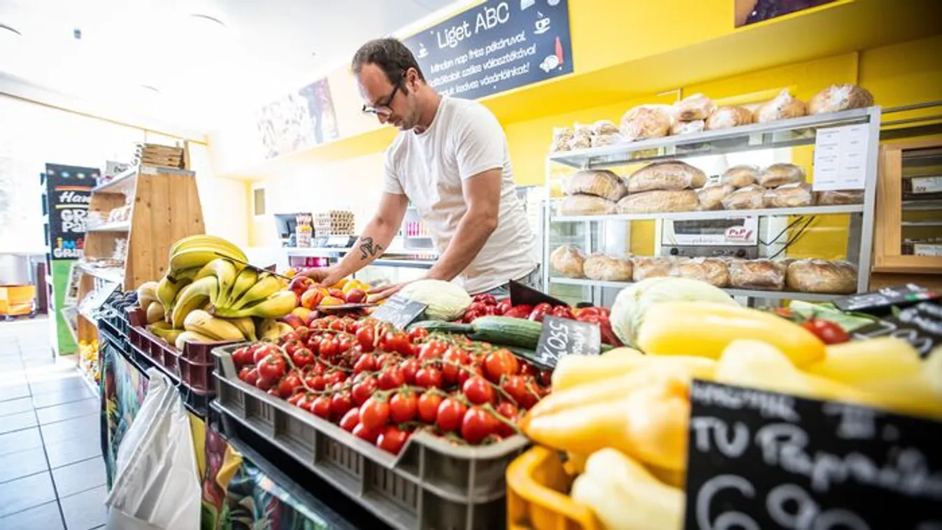 Az összes pályázat nyert a Magyar Falu Program kiírásán